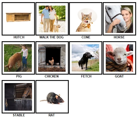 100 Pics Pets Answers 11-20