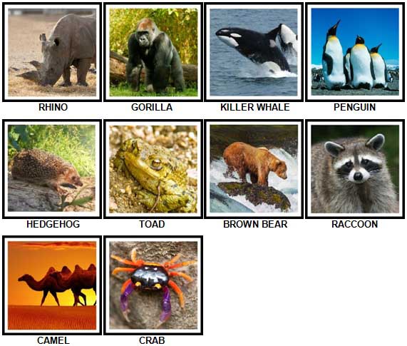 100 Pics Animals Level 21-30 Answers - 100 Pics Answers