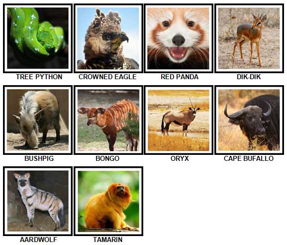 100 Pics Animals Level 91-100 Answers - 100 Pics Answers