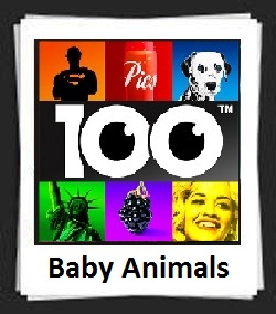 100 Pics Baby Animals Answers